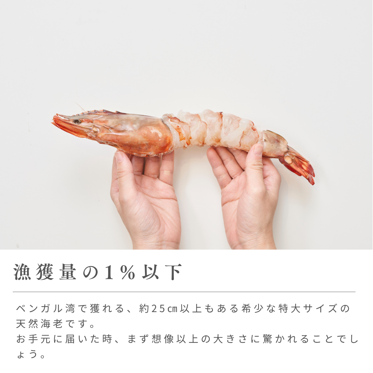 海老乃家の霜降り海老ステーキ2尾(通常箱)
