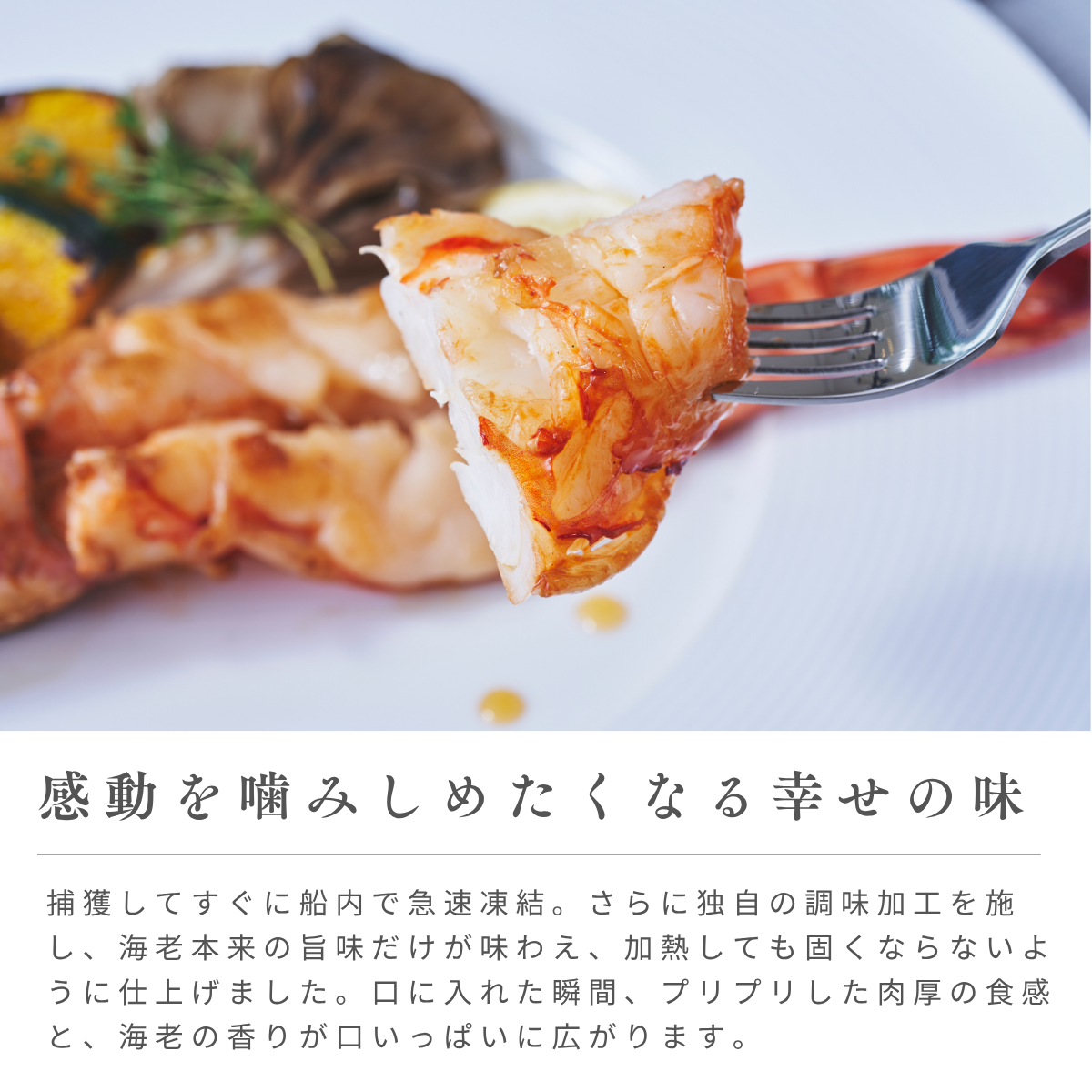 海老乃家の霜降り海老ステーキ2尾(通常箱)